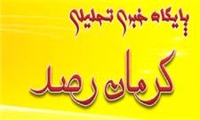 رهاسازی سنجاب سبب خسارت به باغ‌های همدان می‌شود