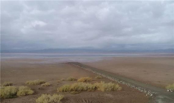 آغاز مهاجرت پرندگان به تالاب کجی نمکزار نهبندان در خراسان جنوبی