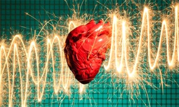 چرا حیوانات دچار حمله قلبی نمی‌شوند؟