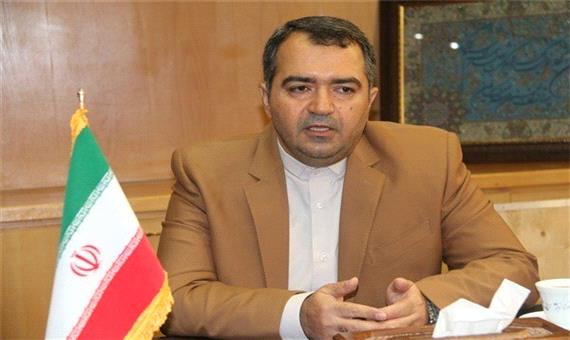 حدود 1800 کیلومتر شبکه و خطوط انتقال گاز در استان کرمان اجرا شد