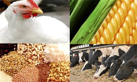 توزیع بیش از 61 هزارتن نهاده دامی در کرمان