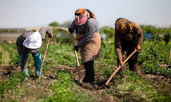اعلام اولویت‌های مشاغل استان کرمان در روستاها
