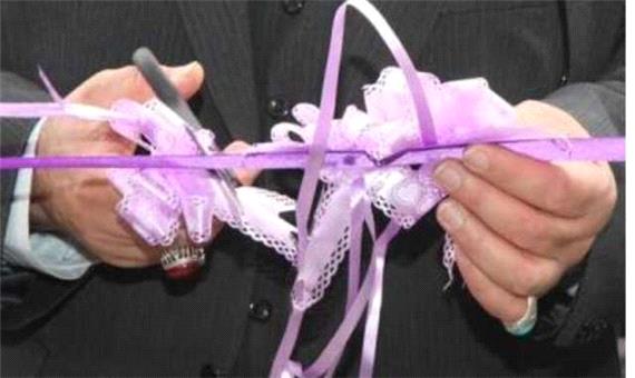 افتتاح 5 طرح صنعتی، مخابراتی و عمرانی در ارزوئیه