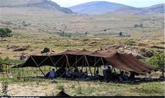 عشایر جنوب کرمان سالانه حدود سه هزار تن گیاهان دارویی تولید می‌کنند