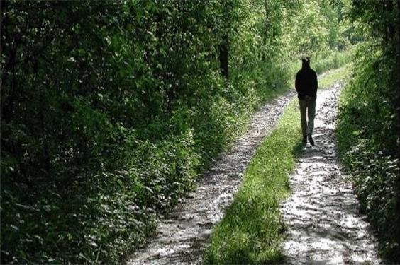 گردشگری، راهی طبیعی برای مبارزه با افسردگی
