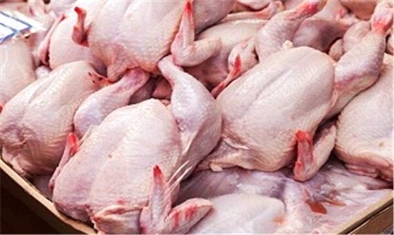 گرانی مرغ در روزهای آتی با کاهش تولید