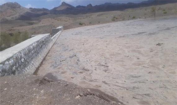 کاهش قدرت تخریب‌های سیلابی با احداث سازه‌های آبخیزداری در جنوب کرمان