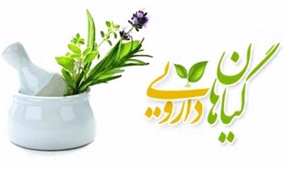 کشف بیش از 8 تن گیاهان داروئی قاچاق در استان کرمان