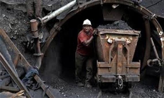 انتقاد شدید پورابراهیمی از رهاشدگی صنعت زغال در کشور