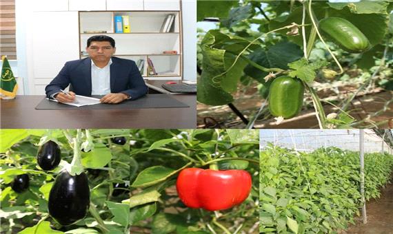 صادارت محصولات کشاورزی جنوب کرمان به کشورهای مختلف