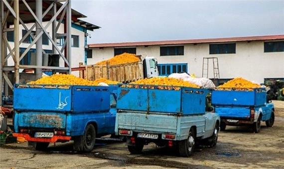 ذخیره‌سازی 6.5میلیون تن سیب و پرتقال شب عید/ میوه‌های شب یلدا تأمین شد