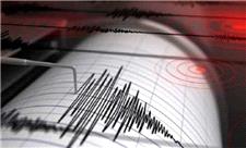 زمین لرزه 5.1 ریشتری سیرچ کرمان را تکان داد