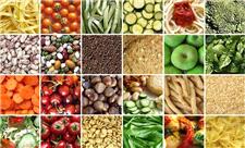 توجه کامل به امنیت غذایی، برنامه جدید وزارت جهاد کشاورزی است