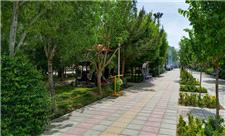 احداث 4 بوستان جدید در رفسنجان آغاز شد