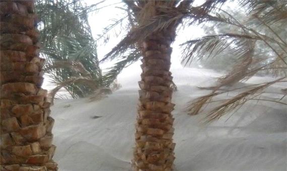 طوفان شن شرق کرمان را فرا می‌گیرد / افزایش آلودگی در استان