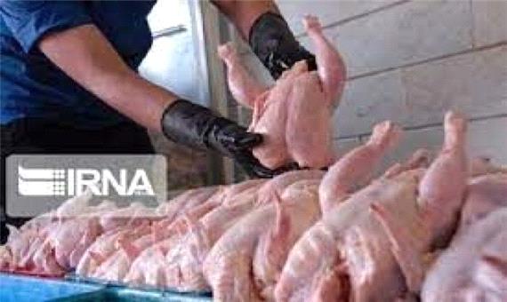 1100 تن مرغ در کرمان ذخیره سازی شد