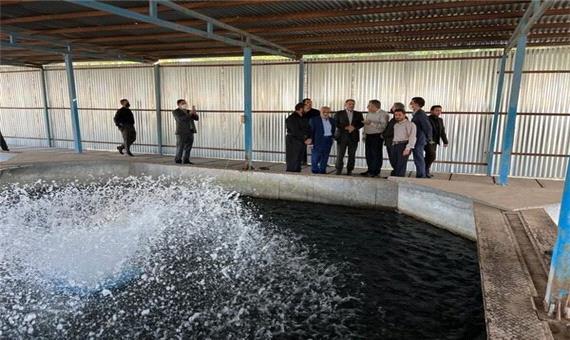 بازدید وزیر جهادکشاورزی از واحد تولیدی پرورش ماهیان خاویاری ماهان
