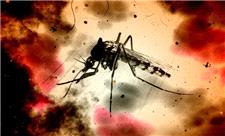 شناسایی 16 مبتلا به مالاریا در جنوب کرمان