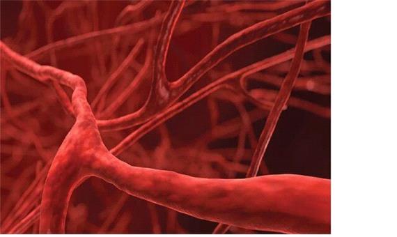 درمان بیماری‌های قلبی-عروقی با چاپ سه‌بُعدی رگ‌های خونی