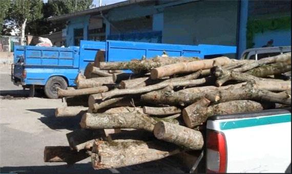 محموله چوب قاچاق در جنوب کرمان کشف شد