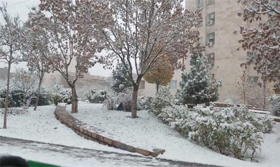 بارش برف در ارتفاعات و مناطق سردسیر کرمان