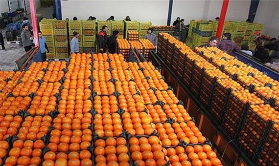 اقدامات لازم برای ذخیره سازی میوه ایام نوروز در کرمان انجام شد