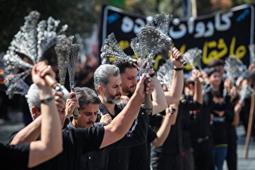 کرمان در سوگ شهادت امام رضا(ع)