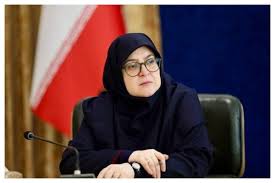 مهاجرانی: تا به حال بیش از ۲۵۰ هزار ماینر غیرقانونی کشف شده است