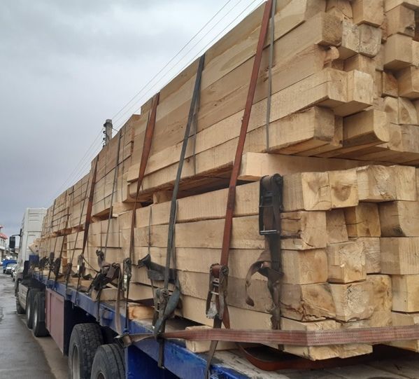 کشف ۱۱ تن چوب جنگلی قاچاق در کرمان