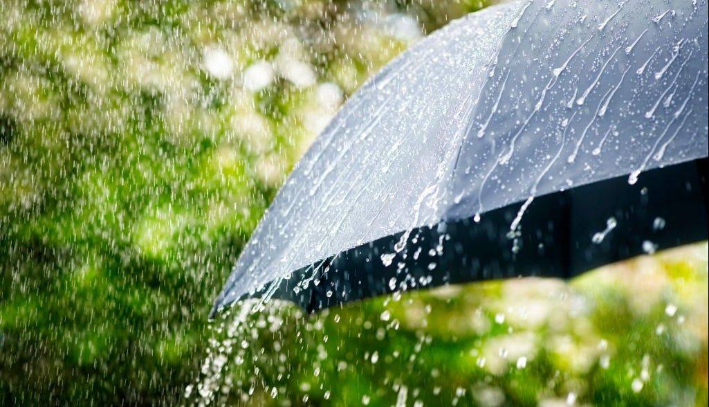 جنوب استان کرمان درگیر رگبارهای موسمی می‌شود
