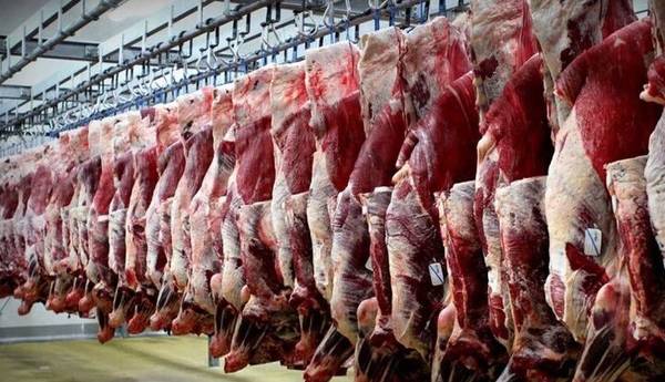 کاهش عرضه گوشت قرمز در تیرماه