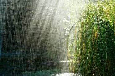 مدیرکل آب منطقه ای استان کرمان،پائیز بارش مناسبی نداریم.