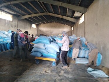 توزیع نهاده دامی به عشایر کرمان