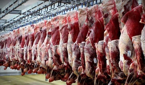 رئیس شورای تأمین دام: مکانیسم ماشه هیچ اثری بر قیمت گوشت و مواد غذایی ندارد