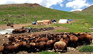 نصب پلاک هوشمند کدپستی برای عشایر کرمان