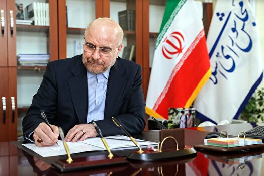 پیام تسلیت رئیس مجلس در پی درگذشت همسر آیت‌الله سیستانی