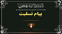 پیام تسلیت نماینده ولی فقیه در پی رحلت همسر آیت الله العظمی سیستانی