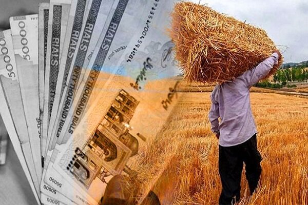 سر نخ‌های جدید از نرخ خرید تضمینی گندم معلوم شد