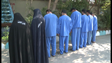 شناسایی فعالیت غیرمجاز نمایندگی فروش یک شرکت خودرو در کرمان