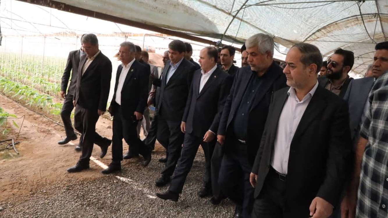 کرمان رصد