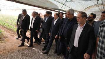 کرمان رصد