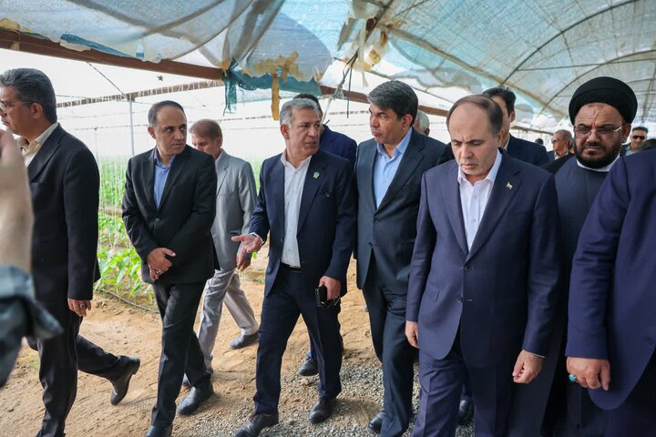 شهرک بزرگ گلخانه ای در جیرفت احداث خواهد شد.