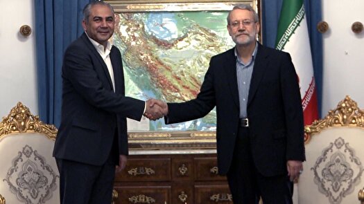 دیدار وزیر کشور پاکستان و علی لاریجانی