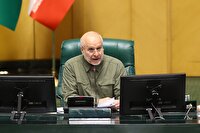 نهاده‌های دامی با قیمت دو برابر در بازار آزاد یافت می‌شود