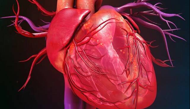 سلول‌های بنیادی، ناجی احتمالی قلب‌های بیمار