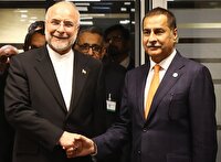 دیدار رؤسای مجالس ایران و پاکستان