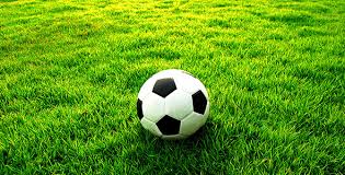 اینانلو: سهو قلم توهین به دستگاه قضایی است