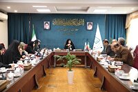 جلسه شورای راهبردی پیمایش ملی زن برگزار شد