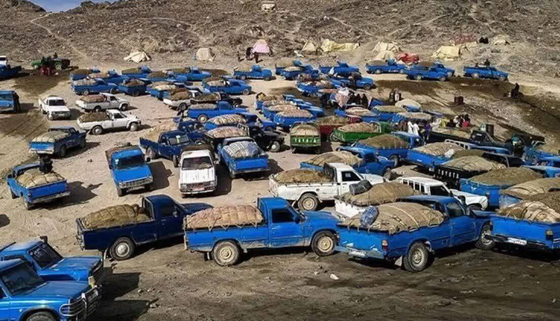 بررسی معضل قاچاق سوخت در جنوب کرمان؛ چالش‌ها و راهکارها