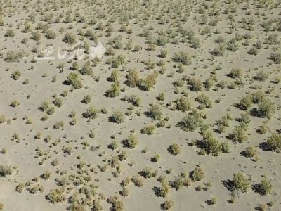 ویدئویی از ورود اتباع غیرمجاز به استان کرمان